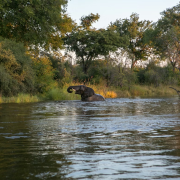 ザンビア共和国