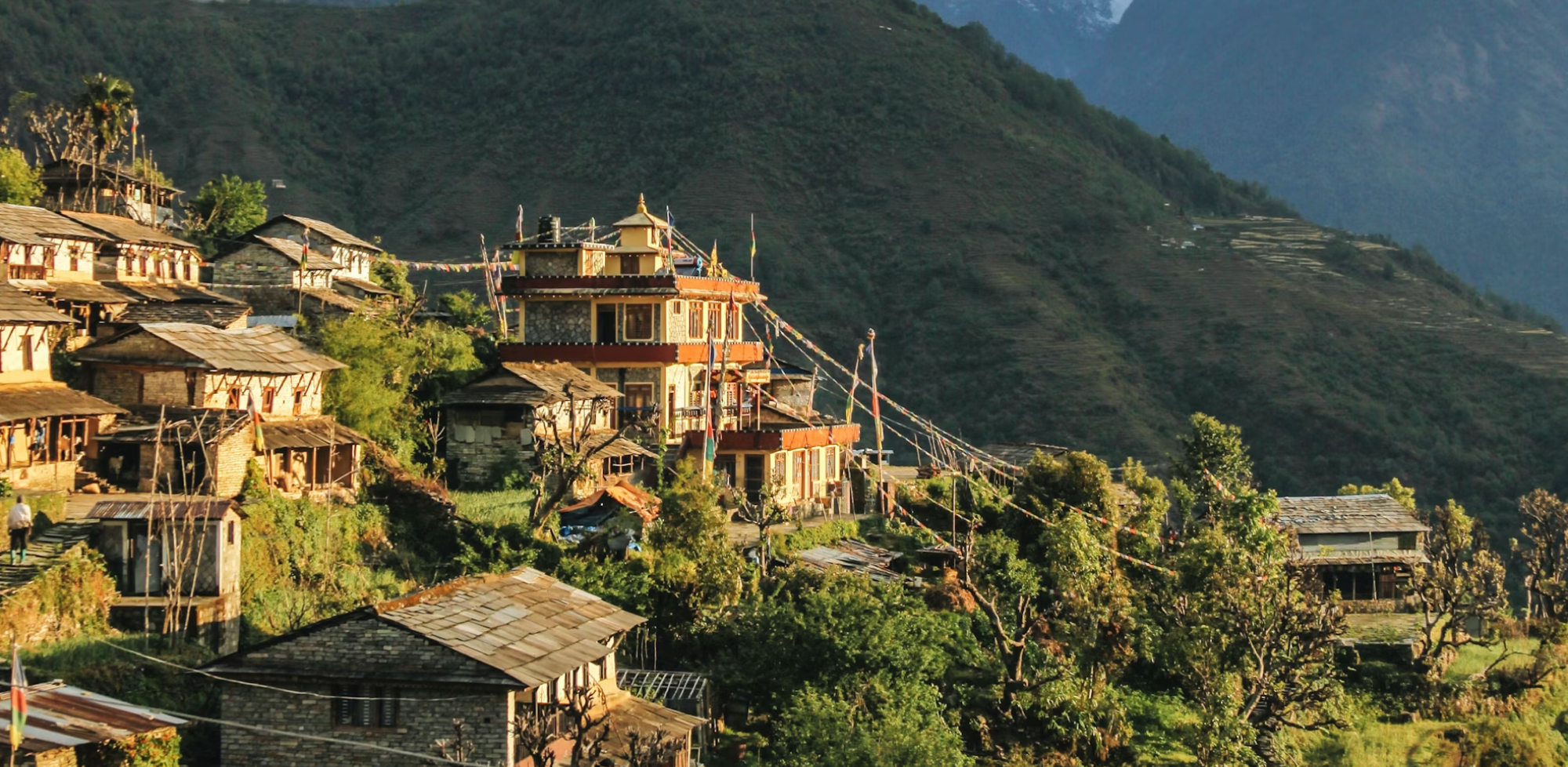 PARTICIPATING COUNTRIES参加国