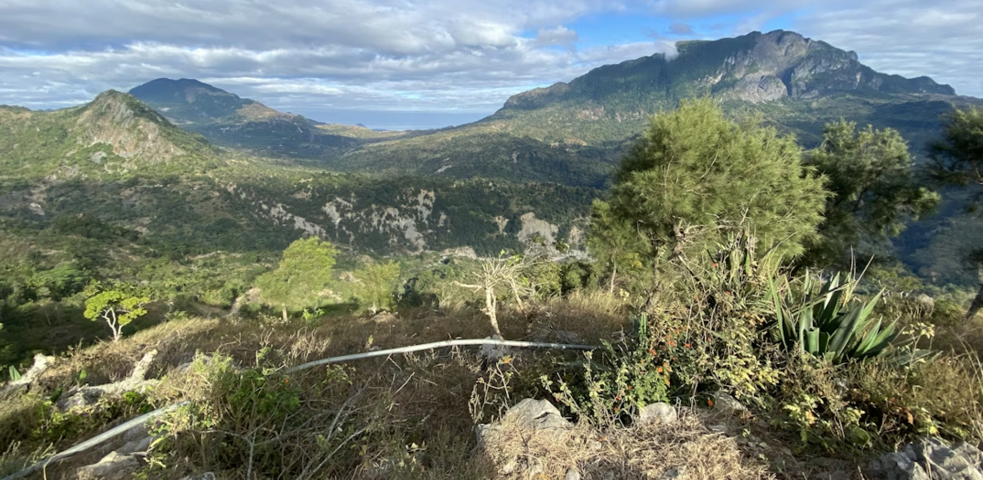 PARTICIPATING COUNTRIES参加国