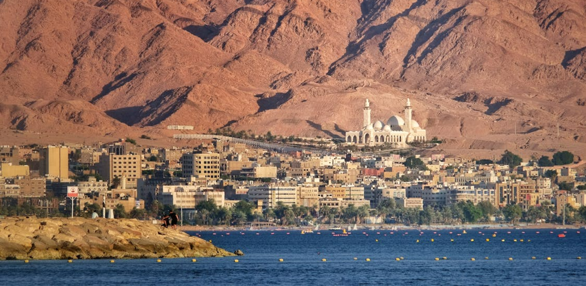 PARTICIPATING COUNTRIES参加国