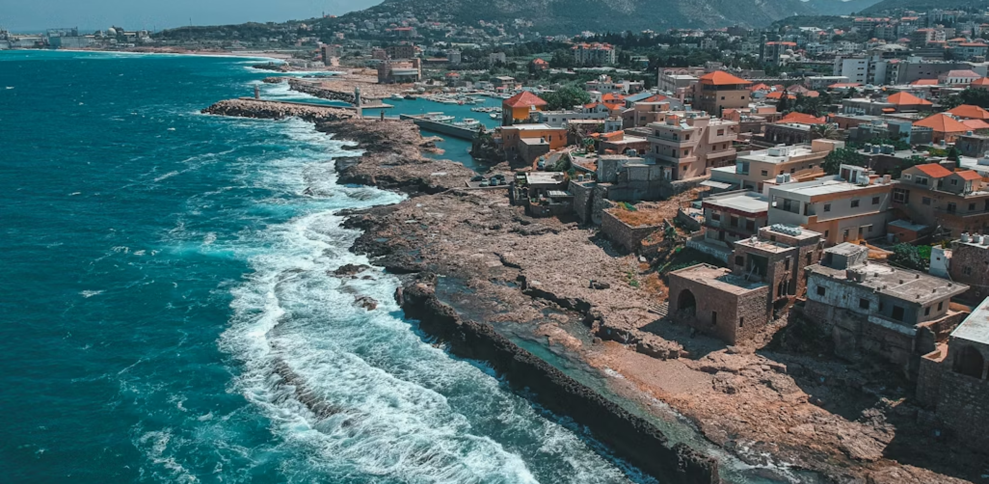 PARTICIPATING COUNTRIES参加国